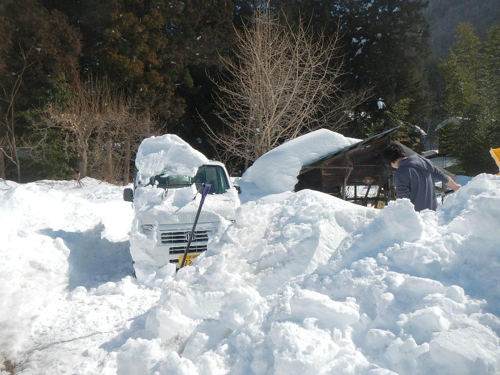 軽トラ画像