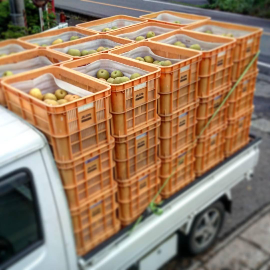 軽トラ画像