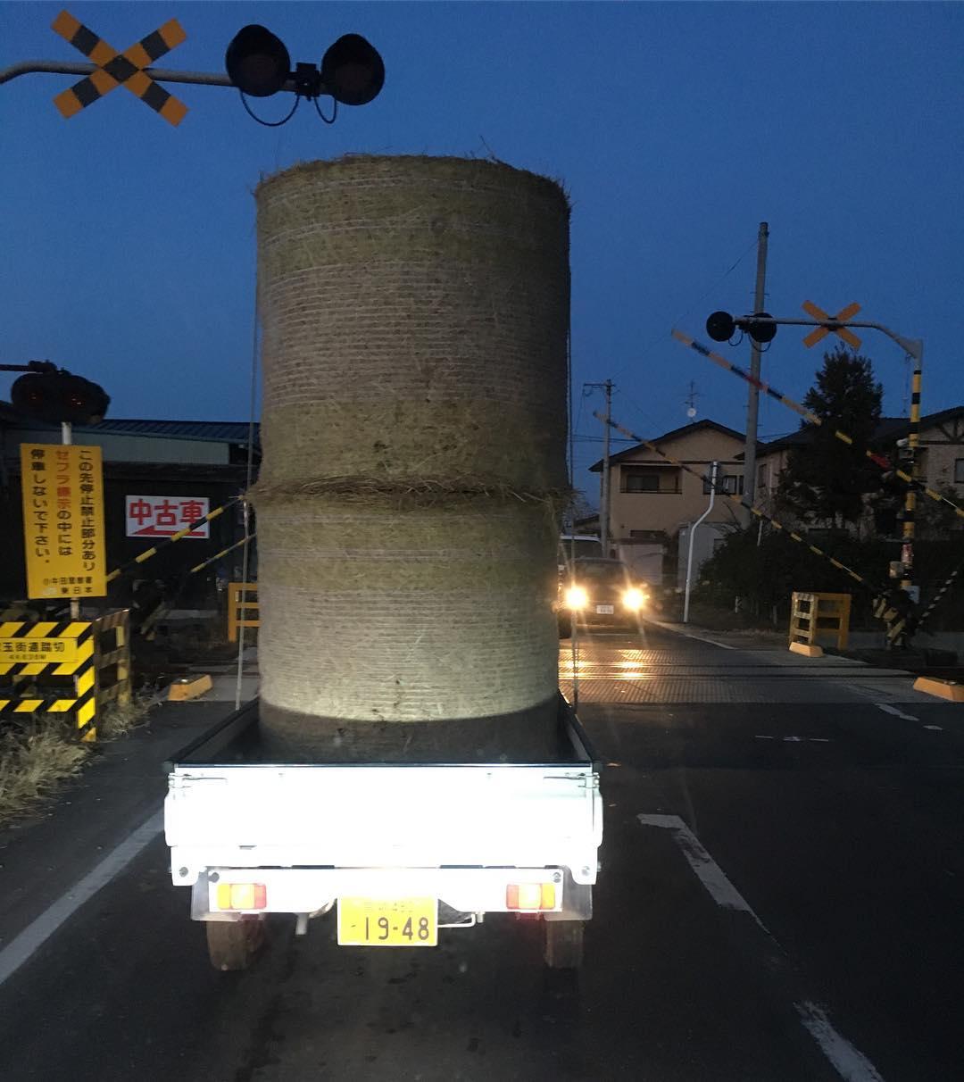 軽トラ画像
